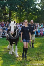 Pferde-und-Fohlenschau-JURA-Volksfest-2023-0112