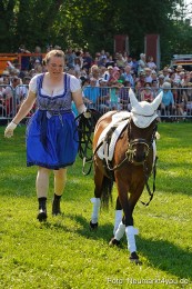 Pferde-und-Fohlenschau-JURA-Volksfest-2023-0114