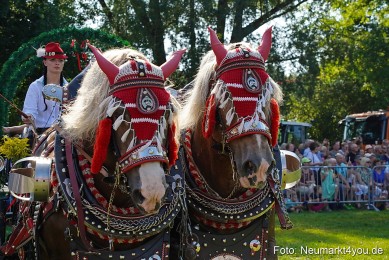 Pferde-und-Fohlenschau-JURA-Volksfest-2023-0120