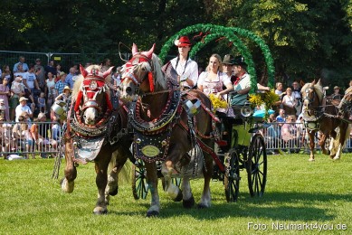 Pferde-und-Fohlenschau-JURA-Volksfest-2023-0125
