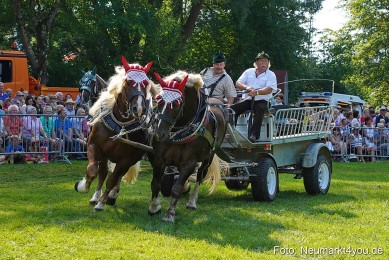 Pferde-und-Fohlenschau-JURA-Volksfest-2023-0133