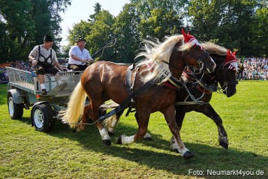 Pferde-und-Fohlenschau-JURA-Volksfest-2023-0134
