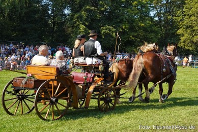 Pferde-und-Fohlenschau-JURA-Volksfest-2023-0136