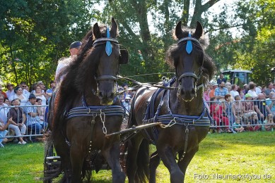 Pferde-und-Fohlenschau-JURA-Volksfest-2023-0139