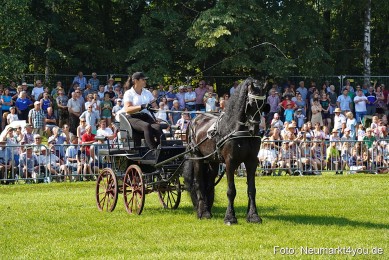 Pferde-und-Fohlenschau-JURA-Volksfest-2023-0143