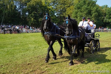 Pferde-und-Fohlenschau-JURA-Volksfest-2023-0144
