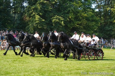 Pferde-und-Fohlenschau-JURA-Volksfest-2023-0147