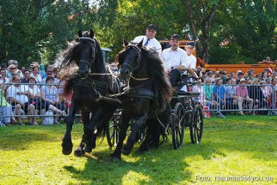Pferde-und-Fohlenschau-JURA-Volksfest-2023-0148