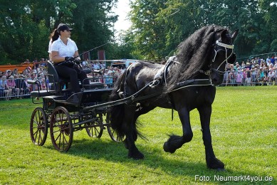 Pferde-und-Fohlenschau-JURA-Volksfest-2023-0154