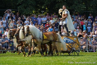 Pferde-und-Fohlenschau-JURA-Volksfest-2023-0155