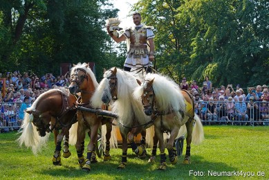 Pferde-und-Fohlenschau-JURA-Volksfest-2023-0156