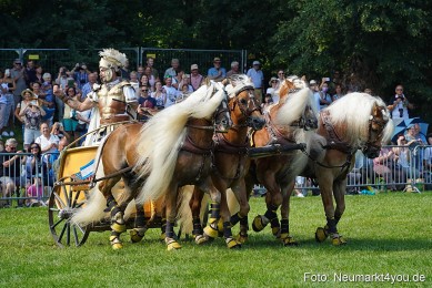 Pferde-und-Fohlenschau-JURA-Volksfest-2023-0162