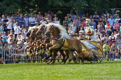 Pferde-und-Fohlenschau-JURA-Volksfest-2023-0164