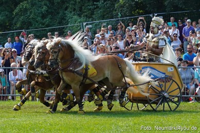 Pferde-und-Fohlenschau-JURA-Volksfest-2023-0166
