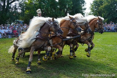 Pferde-und-Fohlenschau-JURA-Volksfest-2023-0168