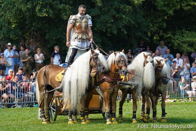 Pferde-und-Fohlenschau-JURA-Volksfest-2023-0174