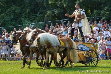 Pferde-und-Fohlenschau-JURA-Volksfest-2023-0175