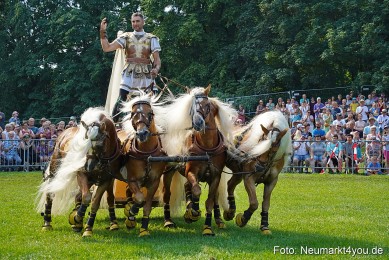 Pferde-und-Fohlenschau-JURA-Volksfest-2023-0176