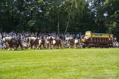 Pferde-und-Fohlenschau-JURA-Volksfest-2023-0184