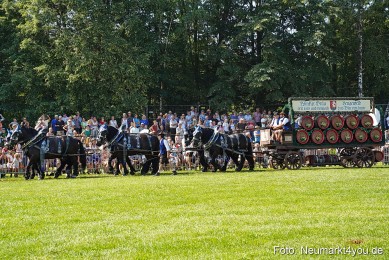 Pferde-und-Fohlenschau-JURA-Volksfest-2023-0190