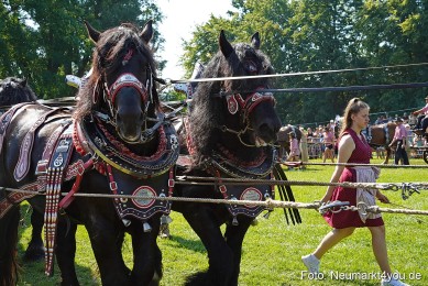 Pferde-und-Fohlenschau-JURA-Volksfest-2023-0200