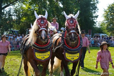 Pferde-und-Fohlenschau-JURA-Volksfest-2023-0202