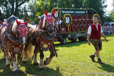 Pferde-und-Fohlenschau-JURA-Volksfest-2023-0208