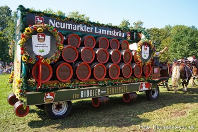 Pferde-und-Fohlenschau-JURA-Volksfest-2023-0212