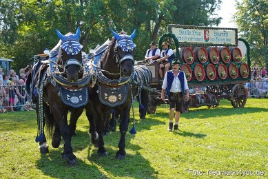 Pferde-und-Fohlenschau-JURA-Volksfest-2023-0213