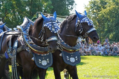 Pferde-und-Fohlenschau-JURA-Volksfest-2023-0214