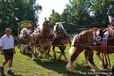 Pferde-und-Fohlenschau-JURA-Volksfest-2023-0224
