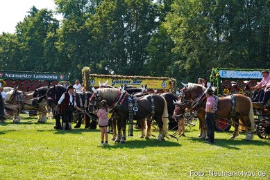 Pferde-und-Fohlenschau-JURA-Volksfest-2023-0227