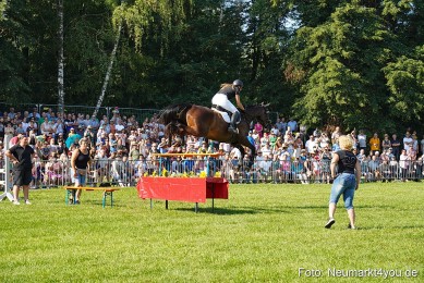 Pferde-und-Fohlenschau-JURA-Volksfest-2023-0228