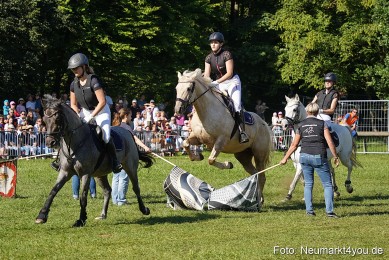 Pferde-und-Fohlenschau-2025-0071