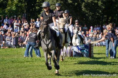 Pferde-und-Fohlenschau-2025-0073