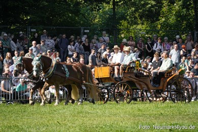 Pferde-und-Fohlenschau-2025-0088