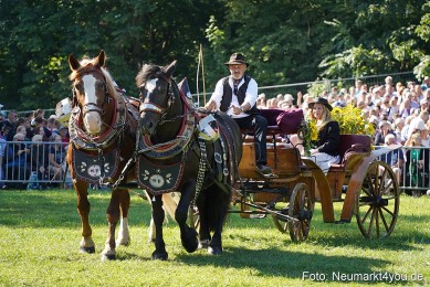 Pferde-und-Fohlenschau-2025-0089