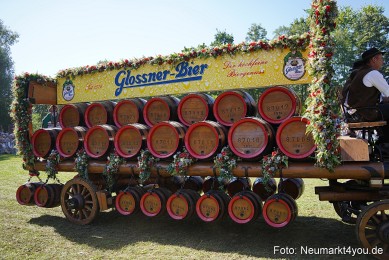 Pferde-und-Fohlenschau-2025-0194