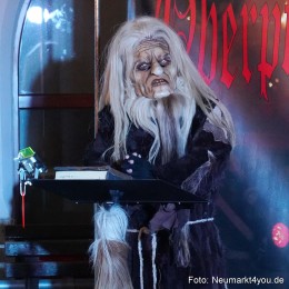 Schlossteufeln-Weihnachtsmarkt-Neumarkt-211219-0017