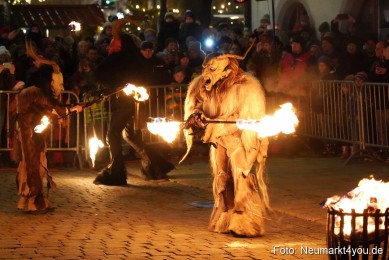 Schlossteufeln-Weihnachtsmarkt-Neumarkt-211219-0065