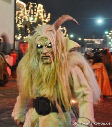 Schlossteufeln-Weihnachtsmarkt-Neumarkt-211219-0132