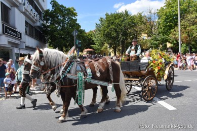 Volksfestzug-Neumarkt-2019-0011