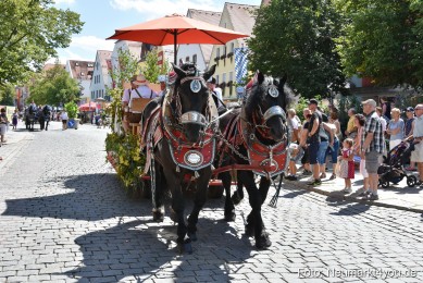 Volksfestzug-Neumarkt-2019-0109