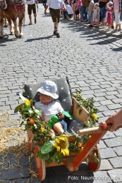 Volksfestzug-Neumarkt-2019-0395