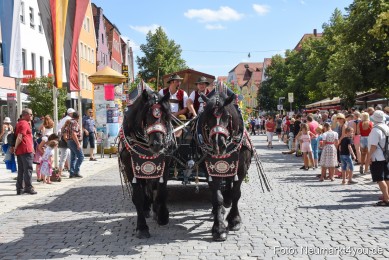 Volksfestzug-Neumarkt-2019-0906