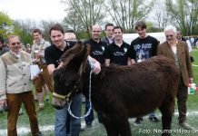 Eselrennen-Fruehlingsfest-2013