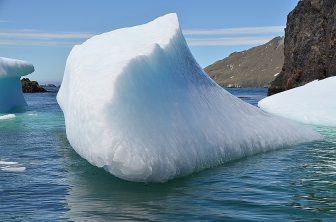 319_Antarctica_South_Georgia_Cooper_Bay