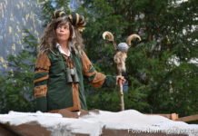 Alpenkönig Astragalus (Blanca Echániz Gerhard)