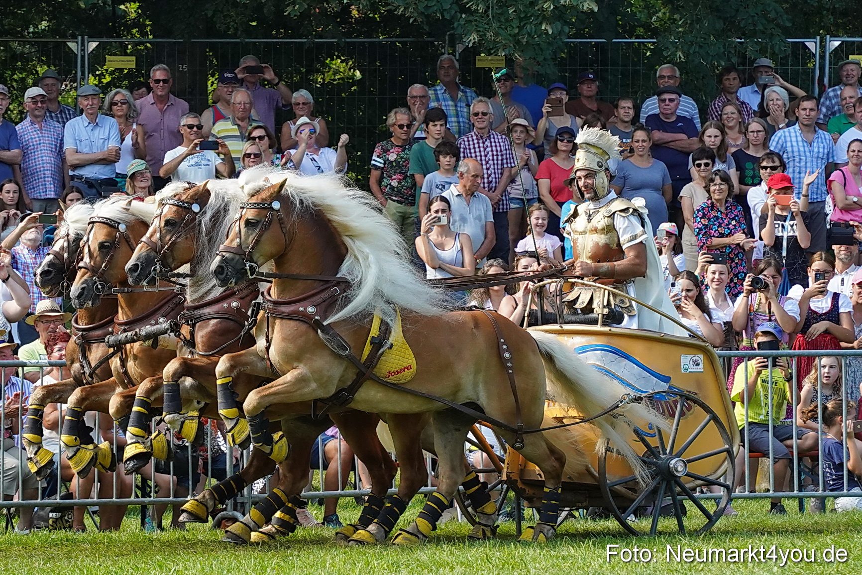 Pferde- und Fohlenschau beim JURA-Volksfest 2023