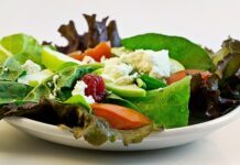 Gesunde Lebensgewohnheiten: Wie Ernährung und Bewegung zusammenhängen